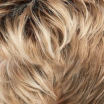 Jon Renau Willow wig