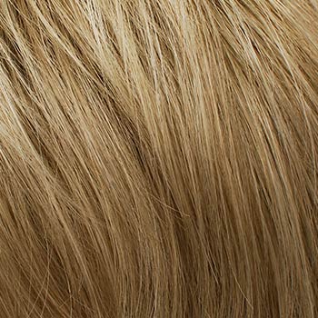 Tony of Beverly Dion wig