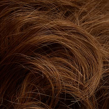Tony of Beverly Savanna wig