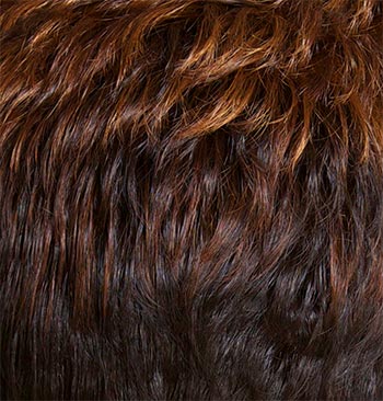 TressAllure Flawless Waves wig