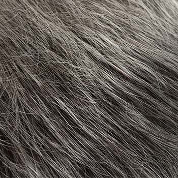 Tony of Beverly Jewel wig