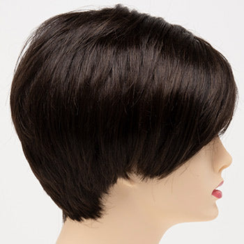 Envy Amy wig