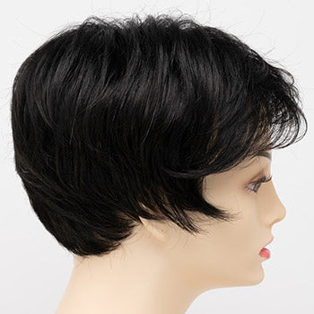 Envy Angel wig