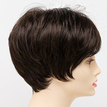 Envy Angel wig