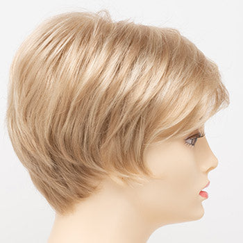 Envy Angel wig
