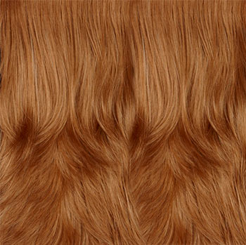 Mane Attraction Fame wig