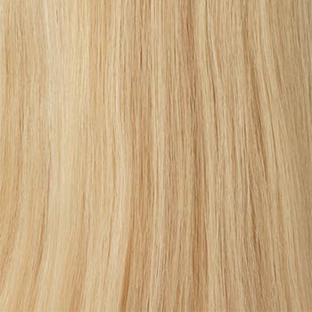 Raquel Welch Princessa | Remy Human Hair wig