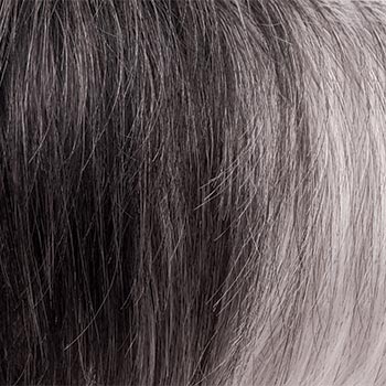 Noriko Eva wig