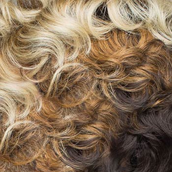 Rene of Paris Diva wig