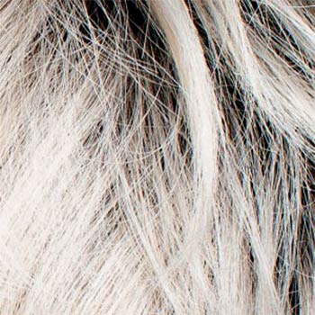 Rene of Paris Destiny wig