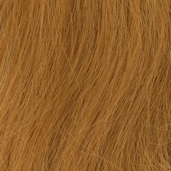 Louis Ferre TP4002 wig