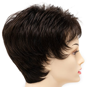 Envy Jacqueline Petite wig