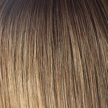 Rene of Paris Vee wig