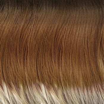 Rene of Paris Wyatt wig