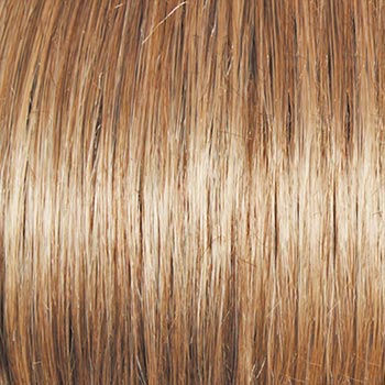 Raquel Welch Winner wig