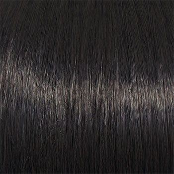 Raquel Welch Winner Elite wig