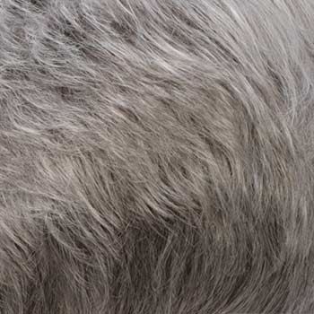 Estetica Designs Mono Wiglet 5 wig