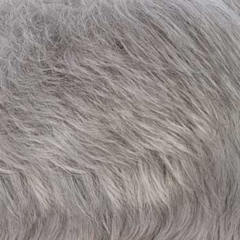 Estetica Designs Mono Wiglet 5 wig