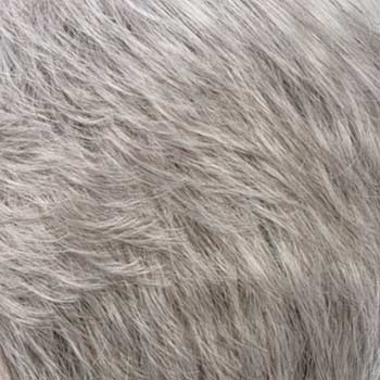 Estetica Designs Mono Wiglet 5 wig
