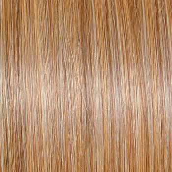 Raquel Welch Waves and Raves wig