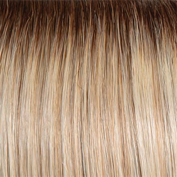 Raquel Welch Waves and Raves wig