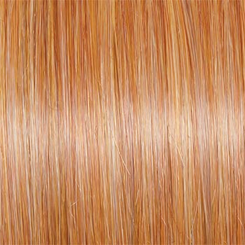 Raquel Welch Fascination wig