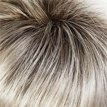 Tony of Beverly Gwen wig