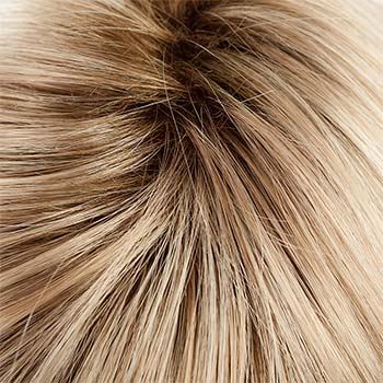 Tony of Beverly Starly wig
