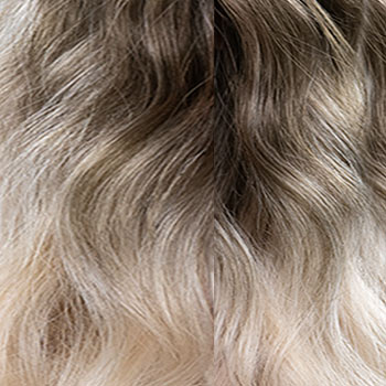 Jon Renau Angelique wig