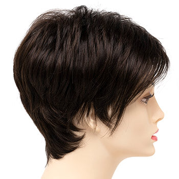 Envy Shari Large wig