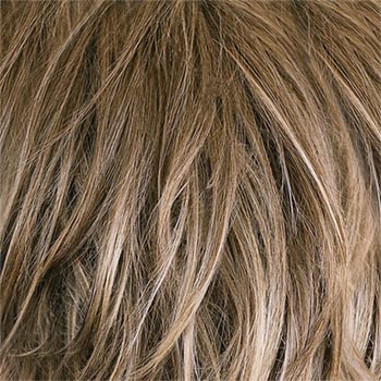 Tony of Beverly Starly wig