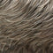 Allure Large