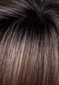 Envy Brianna Hand Tied wig