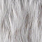 Feather Cut