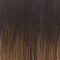 Voltage Large