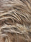 Lark - RH12/26RT4