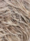 Lark - RH1488RT8